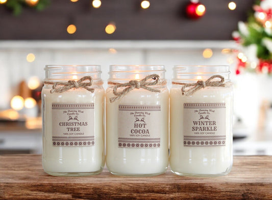 Example Fundraiser - Winter 16oz Candle Set of 3