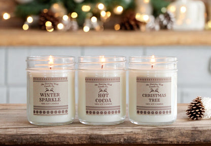 Example Fundraiser - Winter 8oz Candle Set of 3