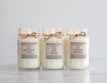 Example Fundraiser - Winter 16oz Candle Set of 3